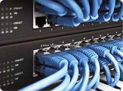 Data Cabling & Network Setup